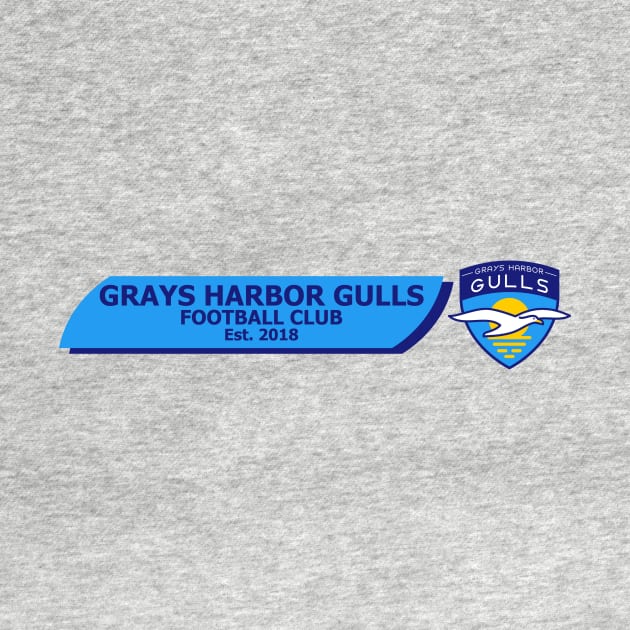 Gulls Banner by ghgullsfc